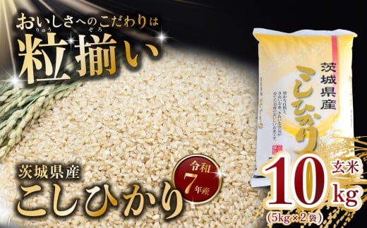 玄米 コシヒカリ 10kg 茨城県下妻市産 【 お米 米 ご飯 こめ コシヒカリ 令和7年産 茨城県産 】