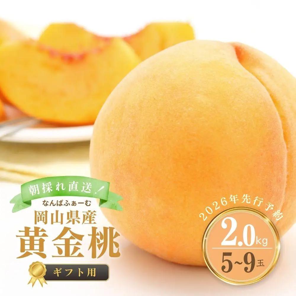 【2026年先行予約】［なんばふぁーむ］岡山県産 黄金桃 2.0kg（5～9玉）[ギフト用]