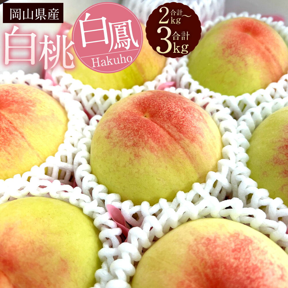 【ふるさと納税】＜選べる容量＞岡山県産 白桃 白鳳 （約2kg箱（6～8玉）／約3kg箱（8～10玉））桃 もも モモ 果物 くだもの フルーツ おやつ デザート 冷蔵 岡山県 美咲町 送料無料【2026年7月上旬～下旬発送予定】