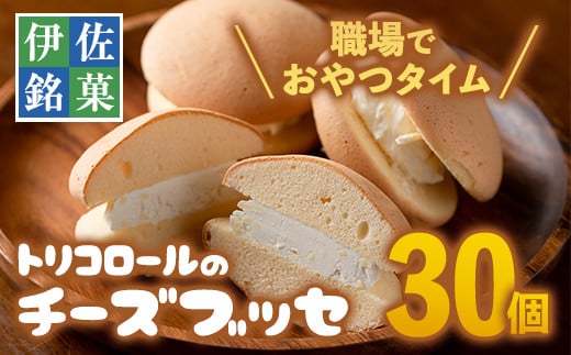 
A2-09 伊佐銘菓！トリコロールのチーズブッセ(30個) ふるさと納税 伊佐市 特産品 お菓子 洋菓子 スイーツ おやつ 冷凍 冷凍便【ケーキハウストリコロール】
