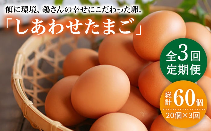
                  【月1回20個×3回 定期便 】 平飼い 「 しあわせ たまご 」計60個＜松本養鶏場＞ [CCD027]
                
