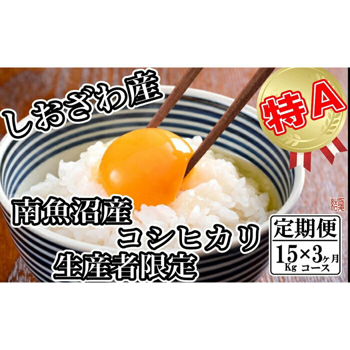 【ふるさと納税】【令和7年産】米 定期便 コシヒカリ 南魚沼しおざわ産 45kg ( 15kg × 3ヶ月 ) 契約栽培【2025年10月上旬より順次発送予定】 | お米 こめ 白米 コシヒカリ 食品 人気 おすすめ 送料無料 魚沼 南魚沼 南魚沼市 新潟県産 新潟県 精米