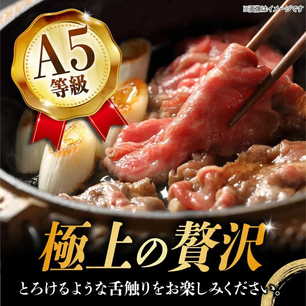【3回定期便】【飛騨牛】A5等級 ロース 肩ロース すき焼き用 500g [TAZ018] 焼肉