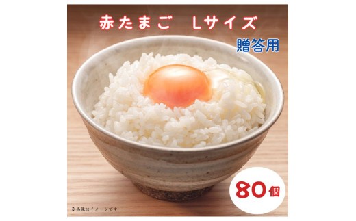 小川エッグの赤たまごLサイズ贈答用 80個 赤たまご たまご 卵 玉子 タマゴ 新鮮 旨み 甘み 贈答用 贈答 ギフト 贈り物 千葉県 匝瑳市