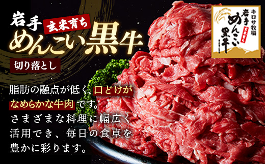 岩手めんこい黒牛 切り落とし 約600ｇ 国産 牛肉 肉 焼肉 牛丼 すき焼き 小分け 冷凍 お肉 【配送不可地域：離島】