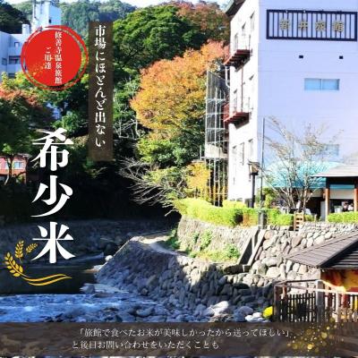 ふるさと納税 伊豆市 静岡 伊豆 修善寺 産【 桂流 こしひかり 】 5kg ×1袋 数量限定 |  | 01