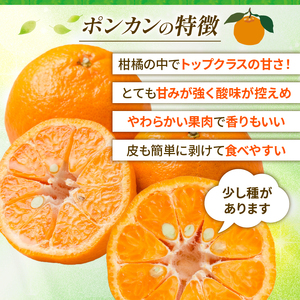 【愛南産ポンカン】冬の柑橘ポンカン 1.5kg