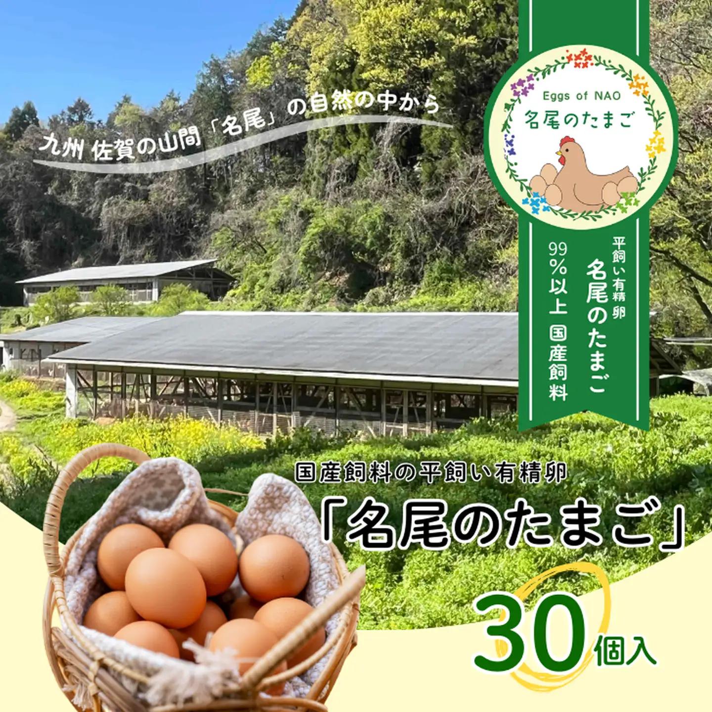 国産飼料の平飼い有精卵「名尾のたまご」30個入 たまご 卵 玉子 タマゴ 生卵 新鮮：B150-090