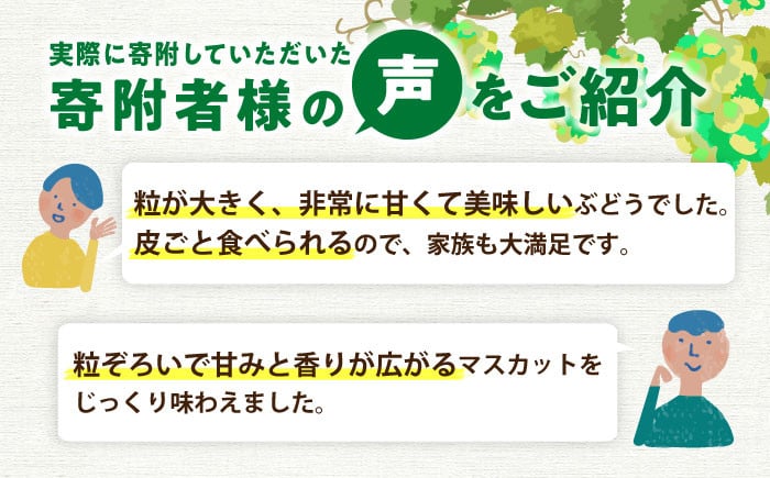 シャインマスカット約1kg。 マスカット ぶどう シャインマスカット