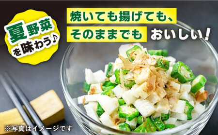 【☆先行予約☆】 【朝採れ旬野菜】オクラ 約1kg ＜パッパラパー農園＞ [CFI001]