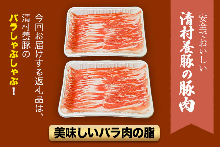バラしゃぶしゃぶ 600g 清村養豚《60日以内に出荷予定(土日祝除く)》肉 豚 豚肉