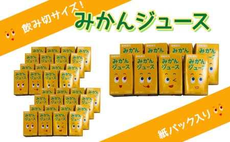 みかんジュース 125ml×40本 フルーツジュース ミカンジュース オレンジジュース 大分県産 九州産 津久見市 国産【tsu000104】