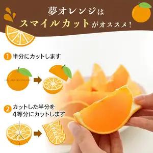 【紅まどんなと同品種】【訳あり】 夢おれんじ まどんな 5kg 武田屋
