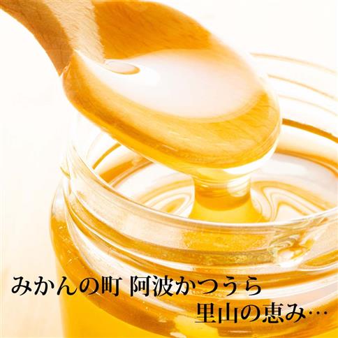 はちみつ太良 1kg