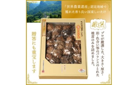 まるで森のアワビ！国東しいたけ香りちゃん（厳選200g）・通_29253A