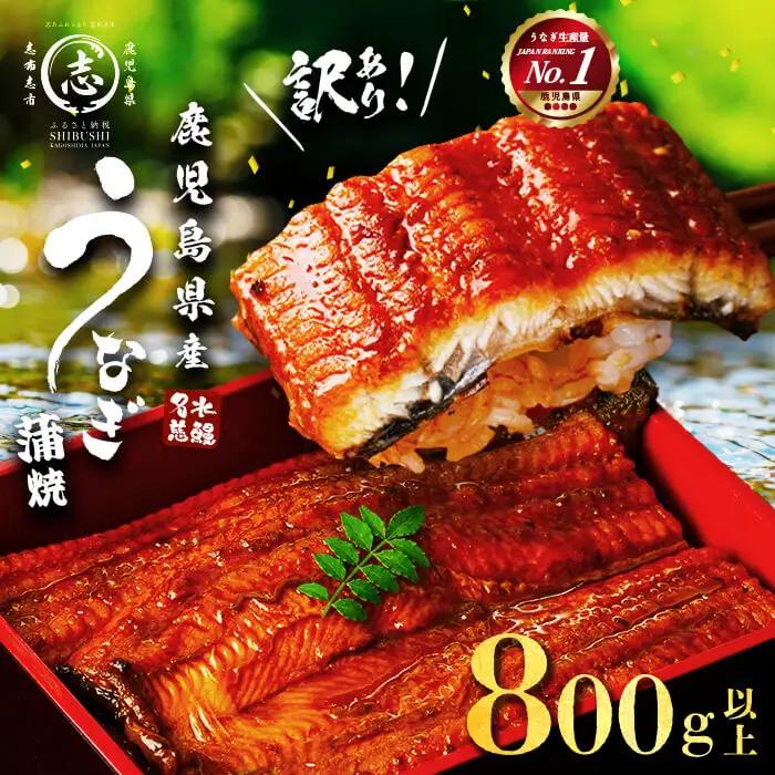 【訳あり・数量限定】復活！不揃いのうなぎ達 計800g以上(鹿児島県産 鰻の蒲焼き)  うなぎ 鰻 ウナギ 不揃い ふぞろい 訳アリ 国産 九州産 蒲焼 蒲焼き かばやき 冷凍 うな重 ひつまぶし 人気 b2-040