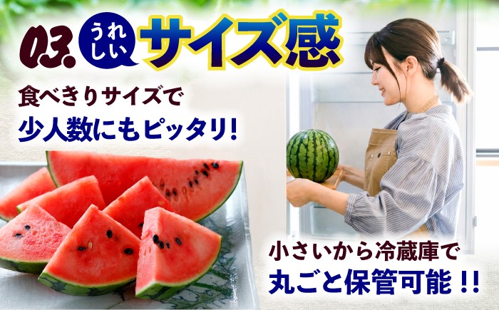 訳あり 小玉すいか 2玉 計約2kg～3kg 小玉西瓜 スイカ