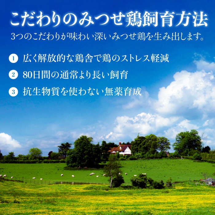 ≪絶品≫みつせ鶏水炊きセット（2人前）炭寅コーポレーション/吉野ヶ里町 [FCI012]