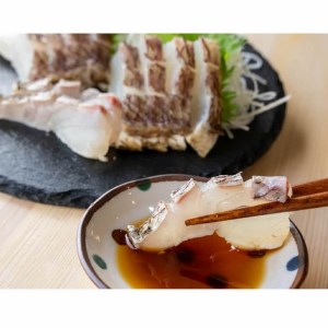 鯛  タイ たたき 300g 国産 わら焼き 熟成 鮮度抜群 高知 須崎  鯛 鯛飯 鯛 カルパッチョ たい 酢ミカン 鯛 炙り タイ 昆布締め 鯛 塩焼き 鯛 塩釜焼 鯛 漬け丼 鯛 海鮮丼 鯛ソテ