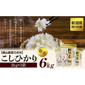 R7年産 関川村産こしひかり 精米6kg(2kg×3袋) ふっくら美味しさ 岩船米 [横山農産]_関川村産 こしひかり 先行予約_【1347088】