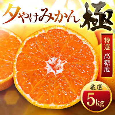 【ふるさと納税】【甘みが濃縮されたみかん】愛媛で育った夕やけみかん【極】3kg(小玉)～【G1243462】
