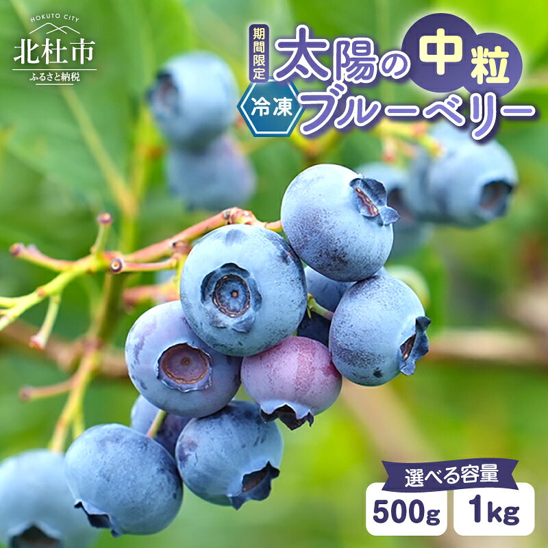 【ふるさと納税】 ブルーベリー 中粒 冷凍 選べる容量 500g 1000g 無農薬 期間限定 数量限定 フルーツ くだもの 冷凍フルーツ 新鮮 ジュース ジャム お菓子 山梨県 北杜市 明野町 送料無料 7000円 7000 10000円以下