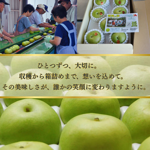 【 先行予約 】 二十世紀梨 約3kg （7玉）  福賀産 （ 山口県 阿武町 ）  高糖度＆シャキシャキ食感 昼夜の寒暖差が育む旬の味 梨 フルーツ 果物 デザート 【お届け：2025年8月下旬～9