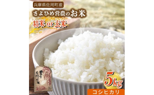 【兵庫県佐用町産】さよひめ営農のお米 5kg コシヒカリ/玄米
