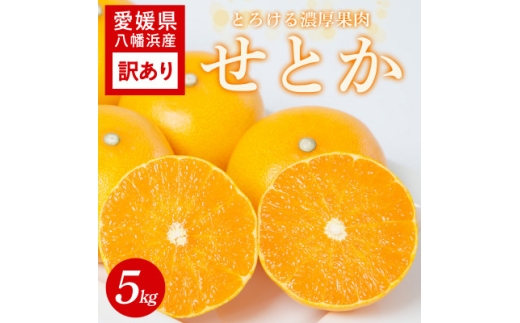 ＜訳あり＞とろける濃厚柑橘 せとか5kg 愛媛県八幡浜産＜C25-336＞【1715050】