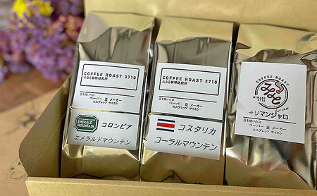 コーヒー マウンテン 3種セット エメラルド コーラル キリマンジャロ 600g (200g×3袋) COFFEE ROAST 3710みなと 珈琲焙煎所 コーヒー豆 ブレンド コーヒー 珈琲 飲み物