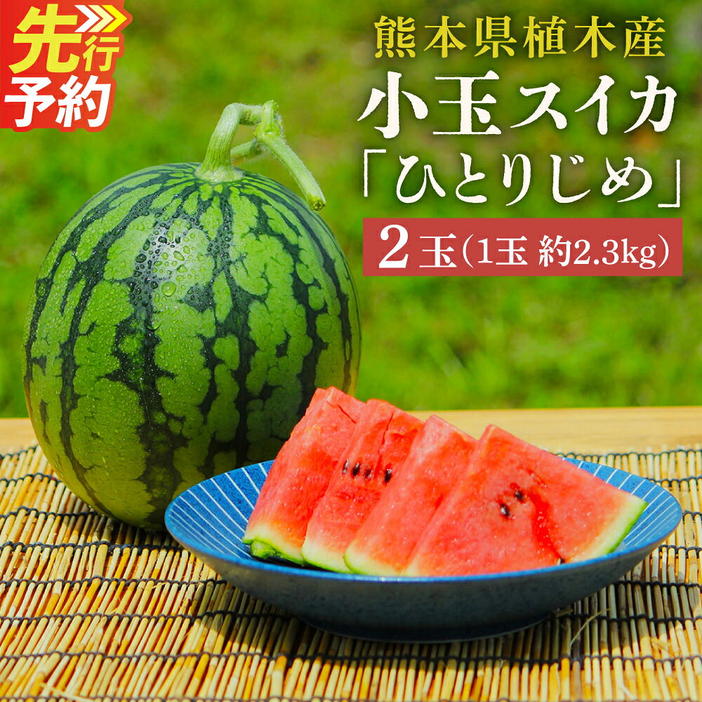【ふるさと納税】【上村農園】小玉すいか 約2.3kg 2玉 ひとりじめ 【2027年6月上旬～6月下旬迄順次発送予定】 春スイカ植木 スイカ 西瓜 果物 くだもの フルーツ おやつ 熊本県産 国産 常温 送料無料 熊本県 熊本市