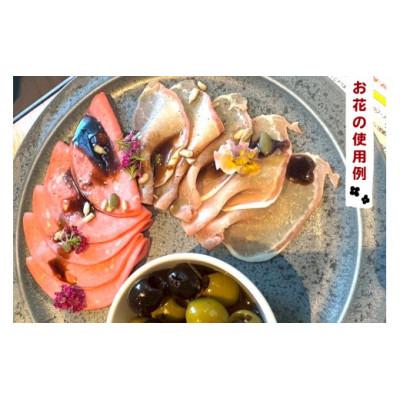 ふるさと納税 伊勢原市 農家直送!加藤さんちのエディブルフラワー 15パック (1パックあたり季節のお花15輪から30輪) |  | 03