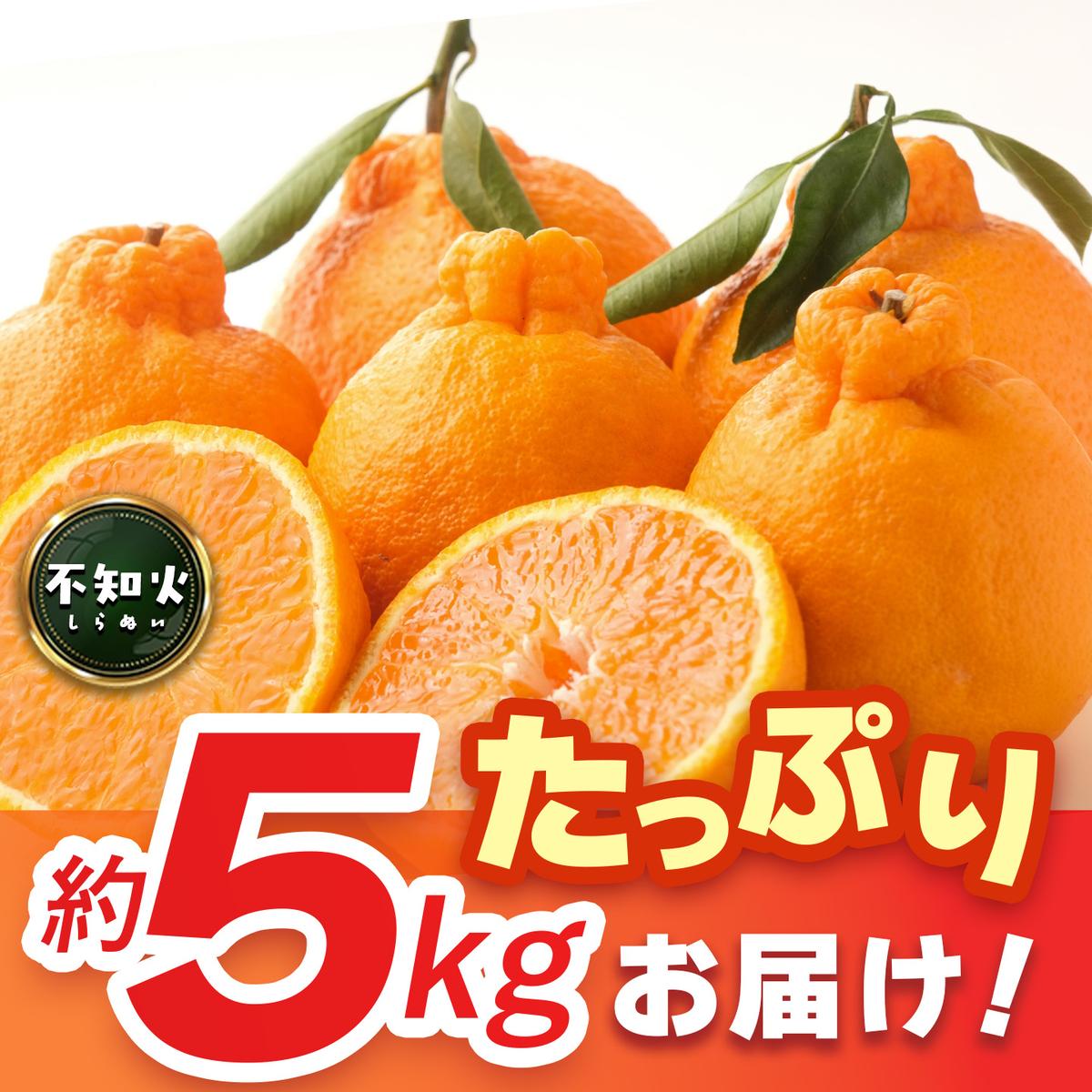【2027年1月中旬より発送開始】不知火(デコポン) 約5kg【みかん 柑橘 清美 ポンカン フルーツ デザート】(H116137)