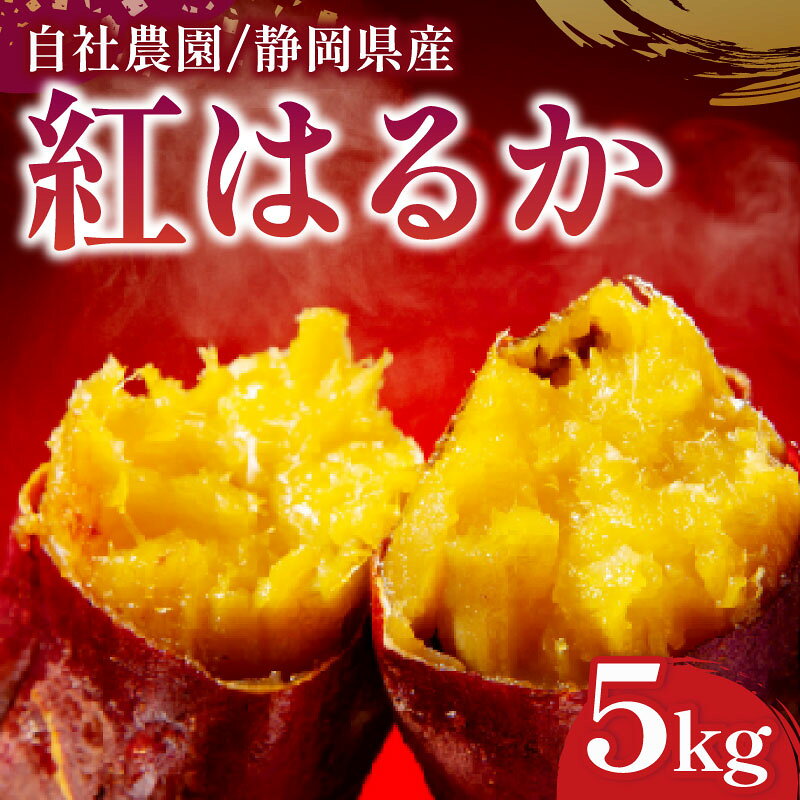【ふるさと納税】 紅はるか 5kg さつまいも 紅はるか 芋 国産 静岡県産 家庭用 秋の味覚 高糖度 しっとり 濃厚 甘い 焼き芋 スイートポテト 干し芋 おやつ こども 秋 おいしい いも