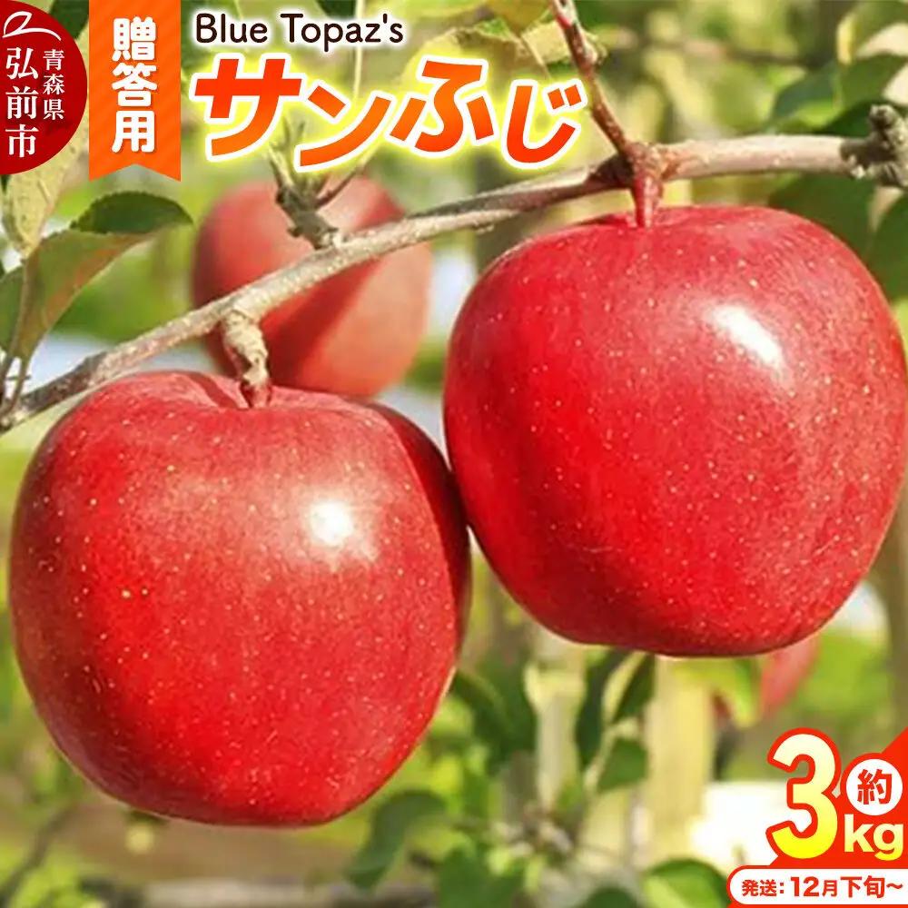 【26年12月下旬～発送】りんご サンふじ【贈答用】約3kg 内のし付き 青森県 弘前市