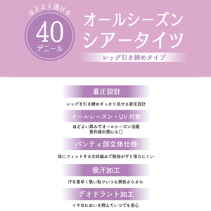 【バンドルシリーズ】40Dシアータイツ2足組 L-LLサイズ ベージュ タイツ ストッキング日用品 美容  生活用品 健康用品 健康グッズ スポーツ 旅行 トラベル UV対策 吸汗加工 デオドラント