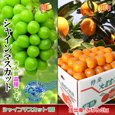 ふるさと納税 坂出市 【発送月固定定期便】創業100年坂出産のフルーツとさぬきの特産品の定期便【Cコース4回】全4回 |  | 02