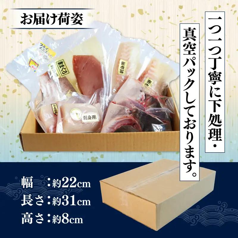 【海鮮】鮮魚セット 1.2㎏ 海鮮 刺身