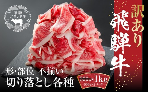 
                  訳あり 飛騨牛 切落とし 1kg(500g×2パック) 冷凍真空パック MZ035VC13
                