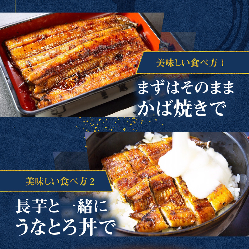 創業１４０年！！老舗うなぎ屋のうなぎのかば焼き2尾と骨せんべいセット - うなぎ かば焼き 100g 2枚 骨せんべい 30g 2袋 セット 真空パック シーフード 加工品 老舗 土用 丑の日-100