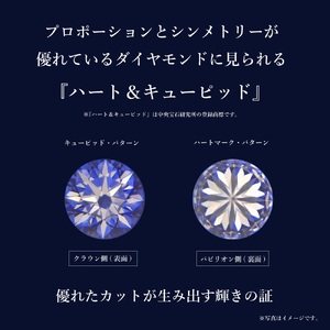 PT　ダイヤモンドネックレス　S-5745 ネックレス ペンダント ダイヤモンド PT950 プラチナ