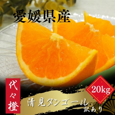 【トロッととろける果実】【訳あり】清見タンゴール 20kg【H83−27】【1557491】