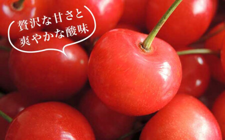 先行受付！旬のさくらんぼ 約500g［小布施屋］ 佐藤錦、紅秀峰、紅佐藤、紅香、サミット など くだもの 果物 サクランボ バラ詰め 令和8年産 【2026年6月中旬～7月中旬発送】[A-1]