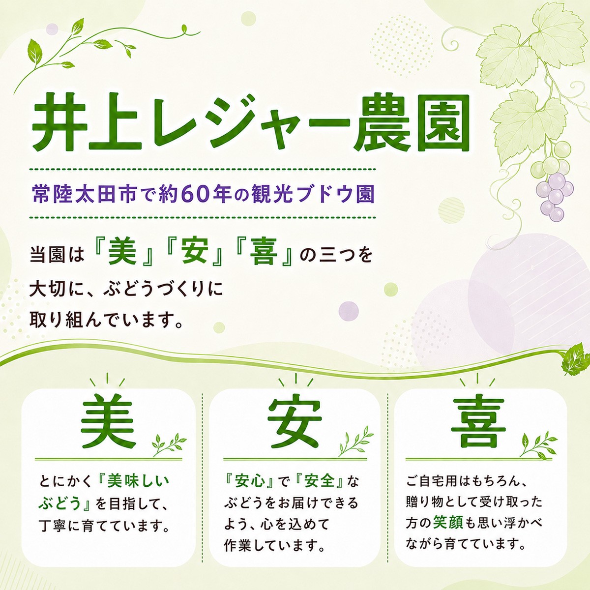 ぶどう 巨峰 葡萄 グレープ 果物 フルーツ 甘い おいしい 旬