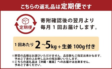 【定期便3回】旬の野菜の詰め合わせと栽培期間中農薬不使用の生姜100g付き 詰め合わせ 野菜セット 野菜 ギフト やさいセット お取り寄せグルメ 家庭用 旬野菜 新鮮 特産 農薬不要 食材