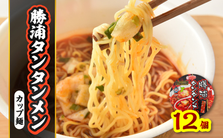 勝浦タンタンメン カップ麺 12個 一般社団法人勝浦市観光協会《90日以内に出荷予定(土日祝除く)》千葉県 勝浦市 担々麺【配送不可地域あり】
