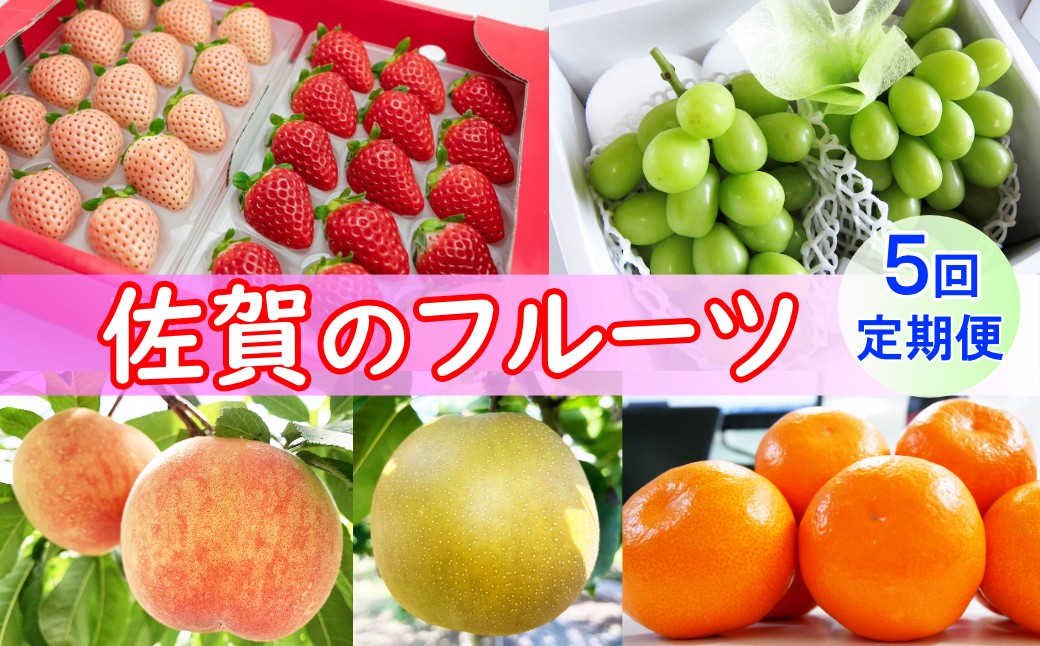 
                  【定期便セット】佐賀のフルーツ定期便(いちご、桃、シャインマスカット、梨、みかん：年5回)
                