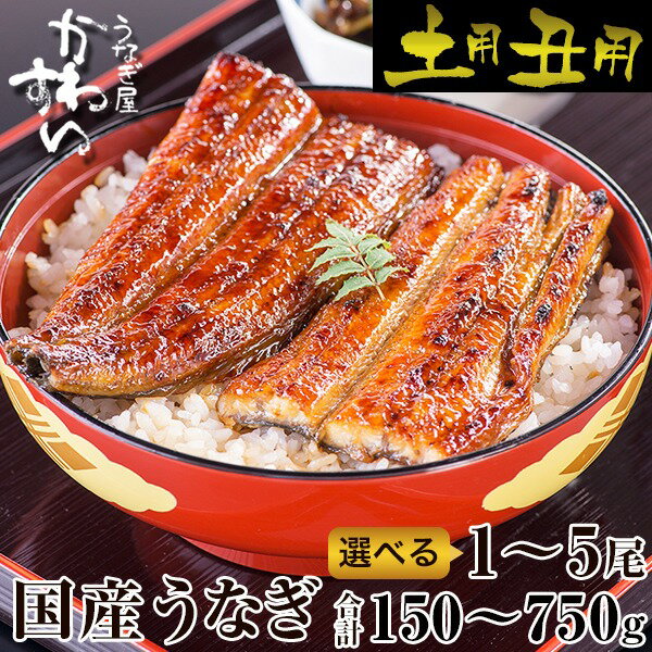 国産うなぎ蒲焼き大サイズ2本セット