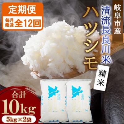 ふるさと納税 岐阜市 【毎月定期便】岐阜市産 ハツシモ 清流長良川米 精米 10kg(5kg×2袋)　全12回