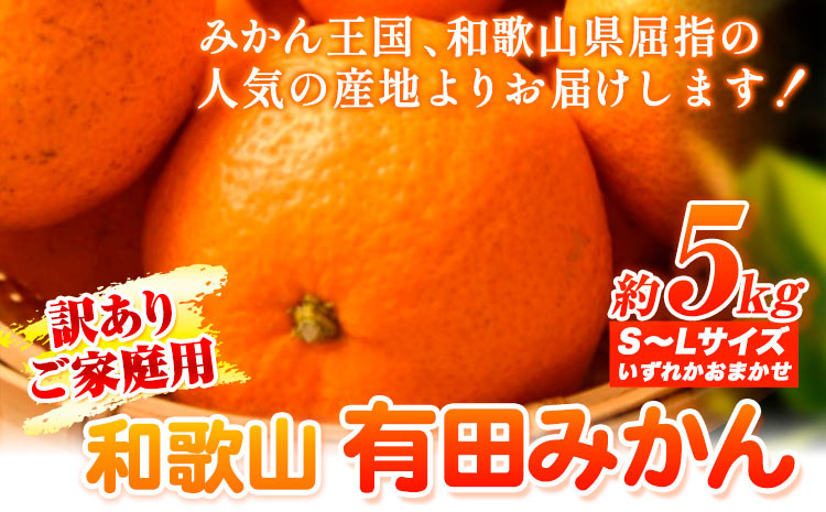 
            【訳あり・ご家庭用】和歌山有田みかん 5kg（S～Lサイズいずれかお届け） 厳選館 《11月中旬-2月上旬頃出荷予定》 和歌山県 日高町 みかん 有田みかん 柑橘 フルーツ 
          